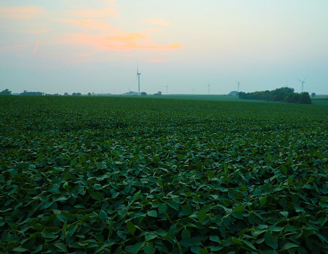 Listing Photo: Farm for sale